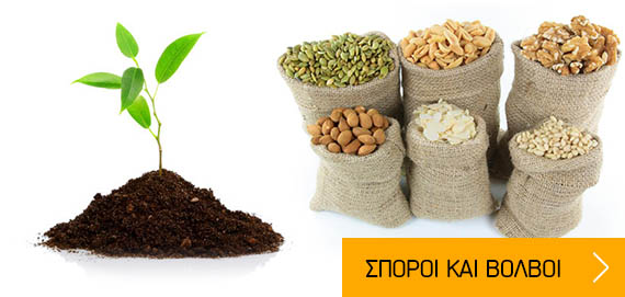σπόροι